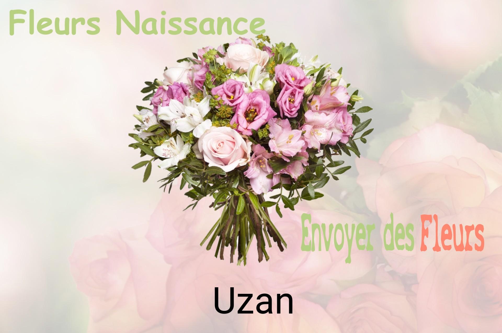 Bouquet de fleurs de naissance livré à Uzan